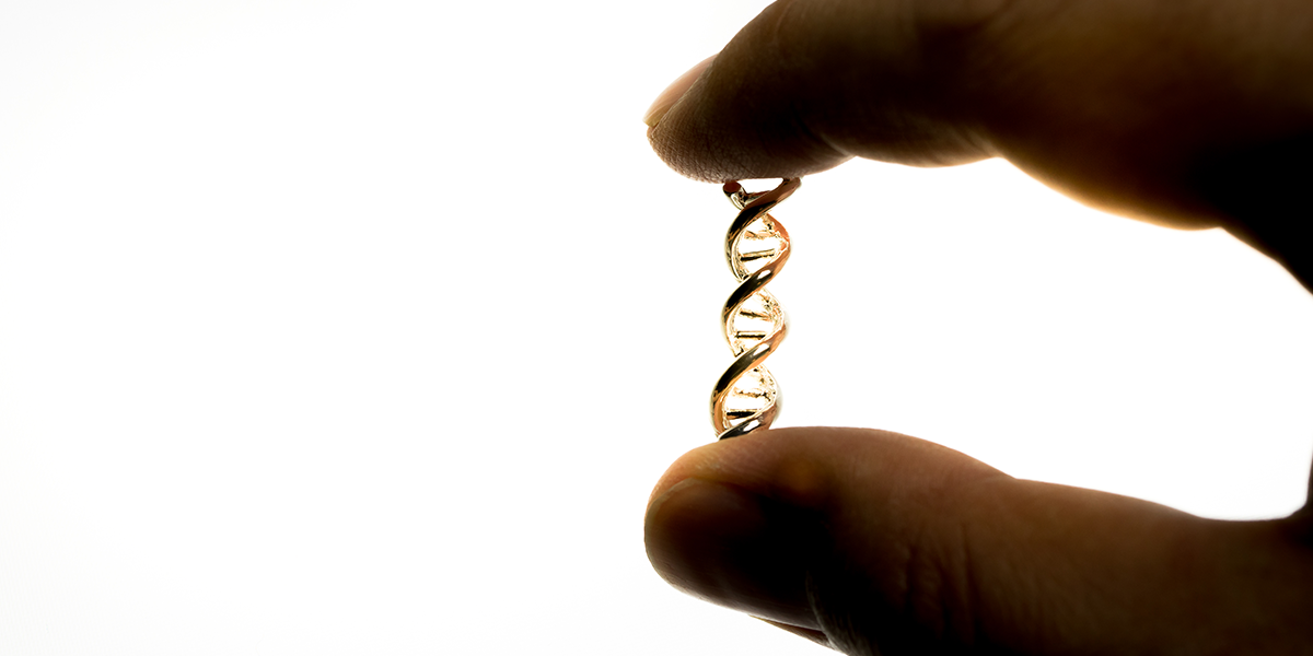 Double Helix