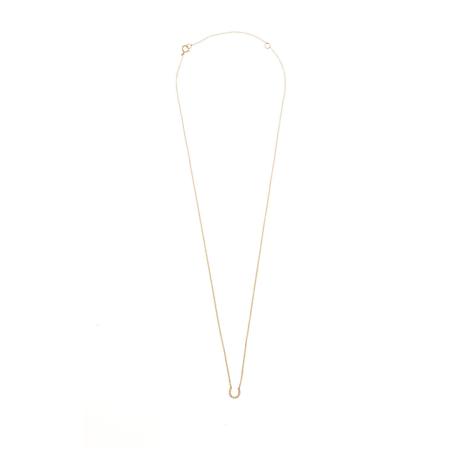 Diamond Horse Shoe Necklace